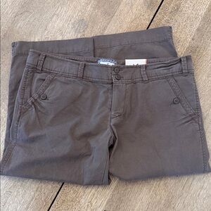 American Eagle Outfitters Taupe Chino Pants